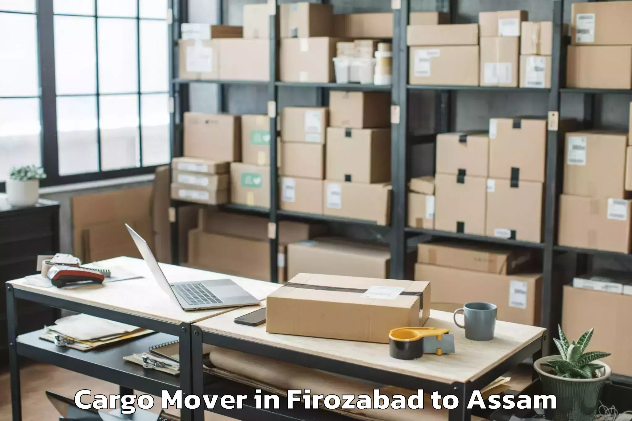 Top Firozabad to Sissibargaon Cargo Mover Available